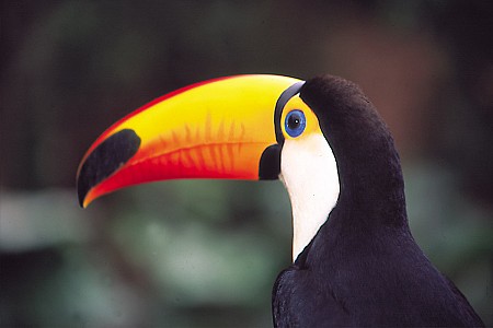 Publicidad 2 Publicidad 2